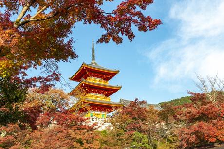 KIYOMIZUDERA_AKI1.jpg