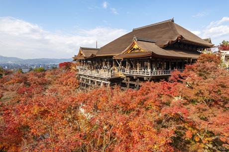 KIYOMIZUDERA_AKI2.jpg