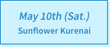 May 10th (Sat.) Sunflower Kurenai