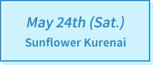 May 24th (Sat.) Sunflower Kurenai