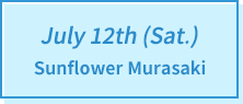 July 12th (Sat.) Sunflower Murasaki