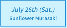 July 26th (Sat.) Sunflower Murasaki