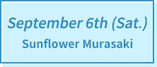 September 6th (Sat.) Sunflower Murasaki