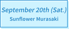 September 20th (Sat.) Sunflower Murasaki