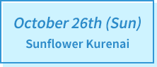 October 26th (Sun.) Sunflower Kurenai