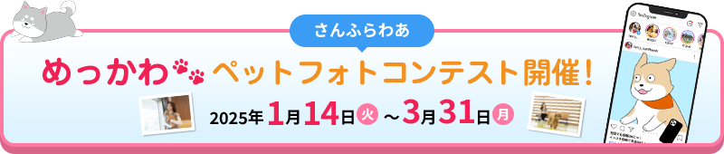 さんふらわあ　めっかわペットフォトコンテスト開催！2025年1月14日（火）～3月31日（月）